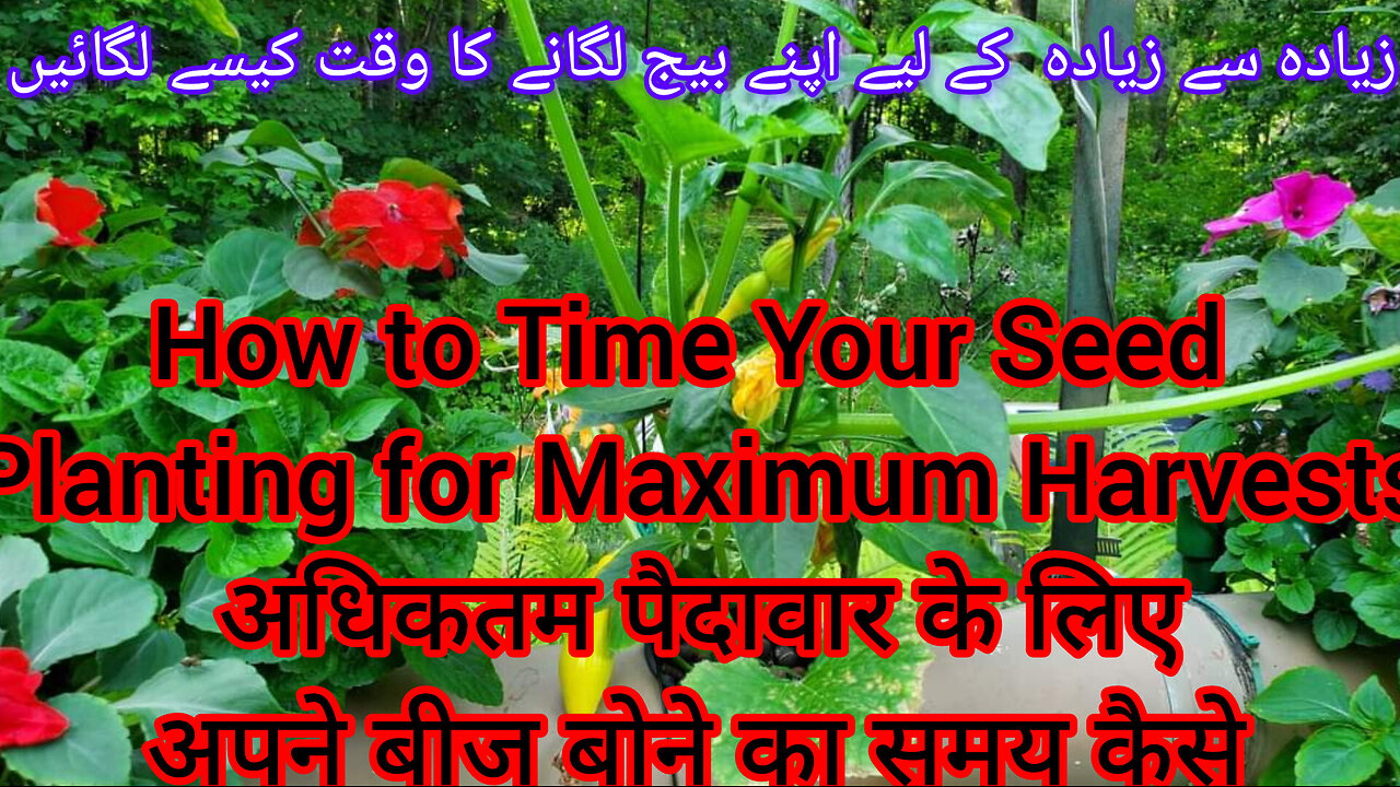 I Tested 10 Fertilizers with 20 Plantsमैंने 20 पौधों के साथ 10 उर्वरकों का परीक्षण किया