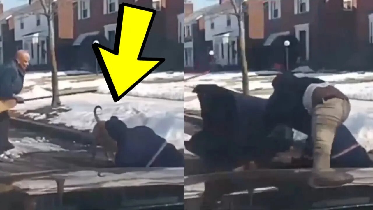 One of The CRAZIEST videos I've Seen | dog attacks and seriously injures postal worker