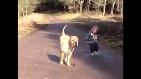 I hope this brightens your day