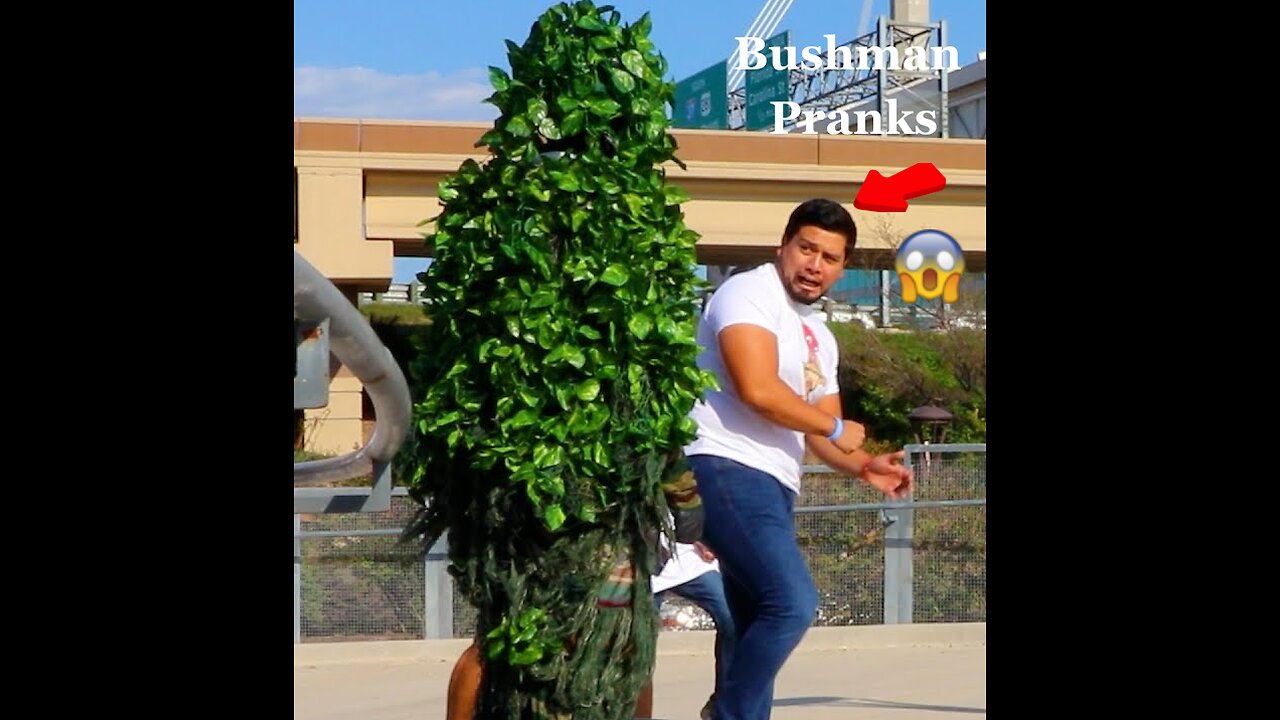 😂😂😂BEST OF 2023 BUSHMAN PRANKS - Funniest Reactions of People | Fun Flicks