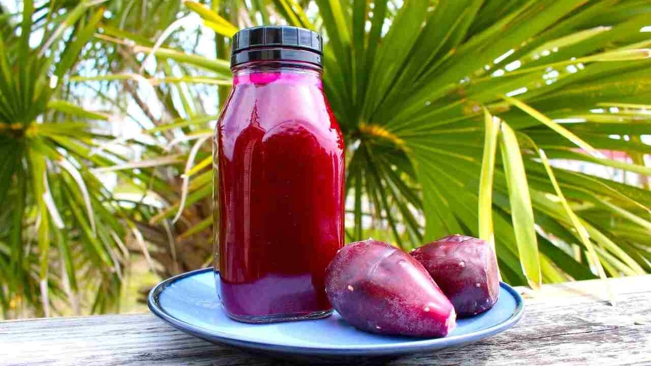 Prickly pear cactus juice