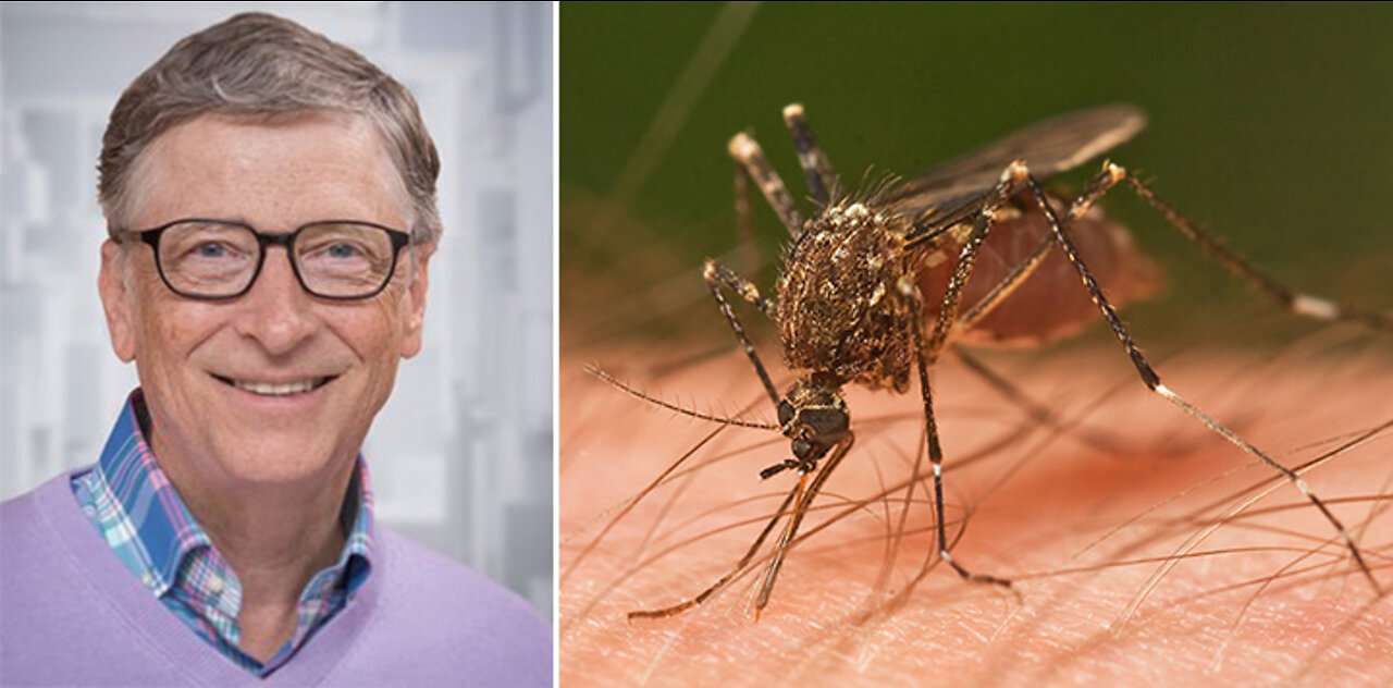 Conspiracy / Gate's Killer Mosquito's?