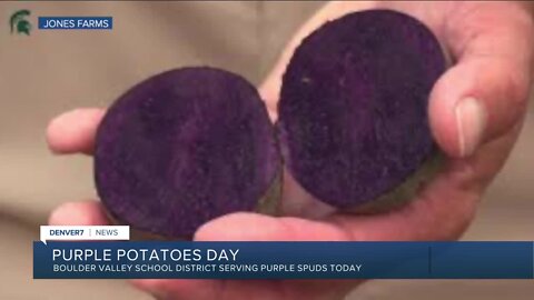 Purple Potato Day at BVSD