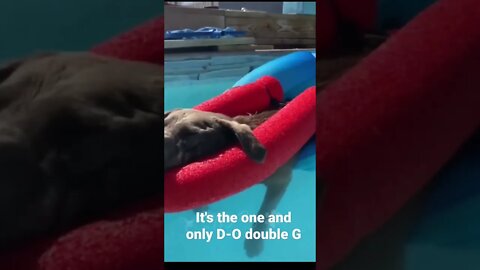 It's the one and only D-O double G #shorts