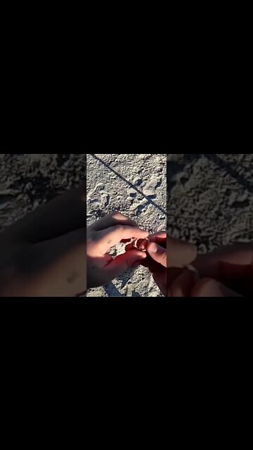 ring found metal detecting #shorts