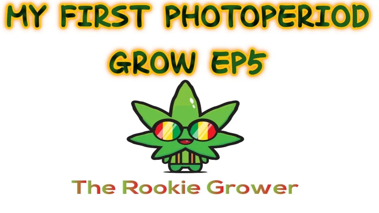 My First PhotoPeriod Grow EP5
