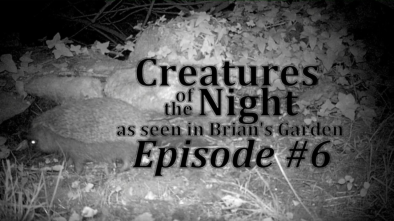 Creatures of the Night 06