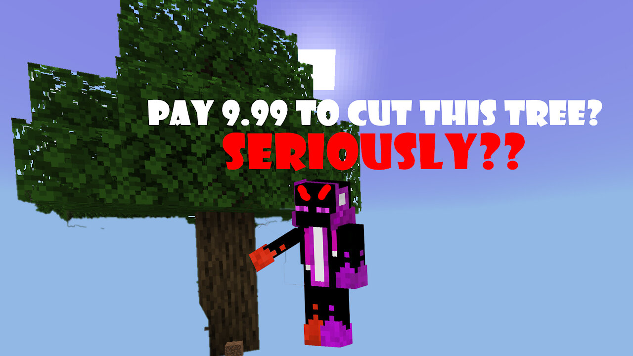 If you had to pay for everything in Minecraft!