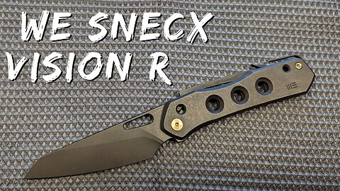 Quick View of the We SNECX Vision R