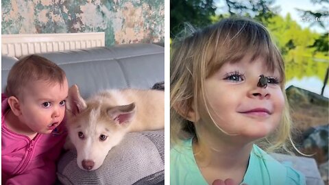 Funny Babies and Animals Video THE BEST Adorable Baby and Animals Compilation