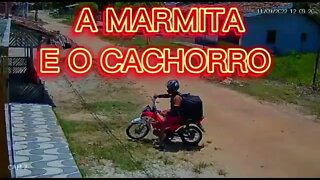 SHORT DAY: O CACHORRO E A MARMITA & OUÇA A NOSSA RÁDIO WEB com as melhores músicas das antigas :