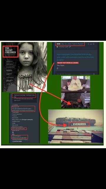 EVERGREEN PIZZAGATE 🍕BAMBINI TRASPORTATI E TORTURATI NEI CONTAINER