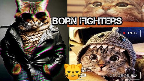 Funny Animals😂 Funny Cats- Cute Cats🤣 Funny Dogs- Cute dogs