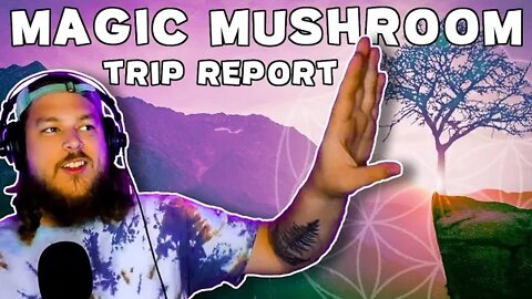 A Psychedelic Tree Cured My Fear Of Heights