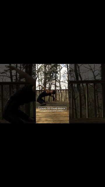 STAND TO STAND BRIDGE: Tutorial