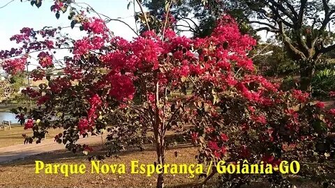 PARQUE NOVA ESPERANÇA GOIÂNIA GO