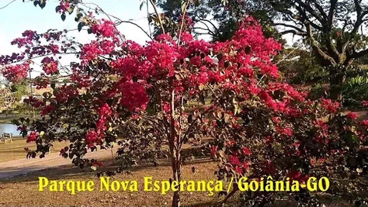 PARQUE NOVA ESPERANÇA GOIÂNIA GO