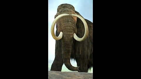 Top 10 animals that will be extinct soon