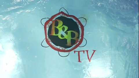 Bald and Bonkers Poolside Logo