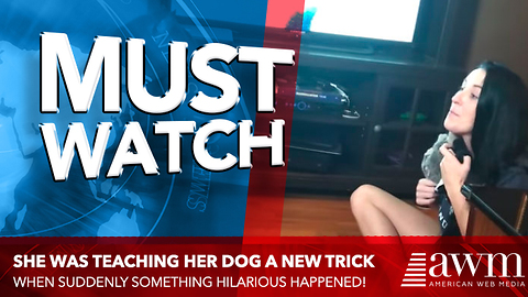 Here’s The Rib-Tickling Doberman Video Everyone Has Been Watching Over And Over