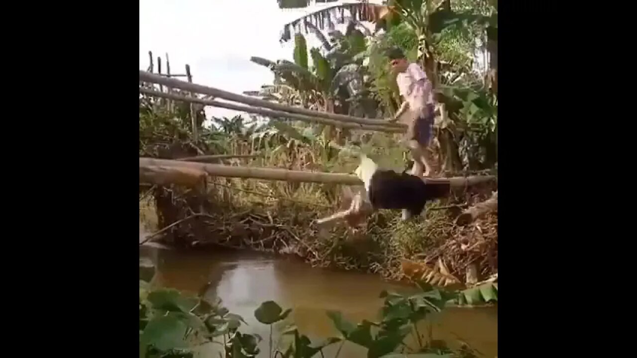 Evil Friend. 😈😂