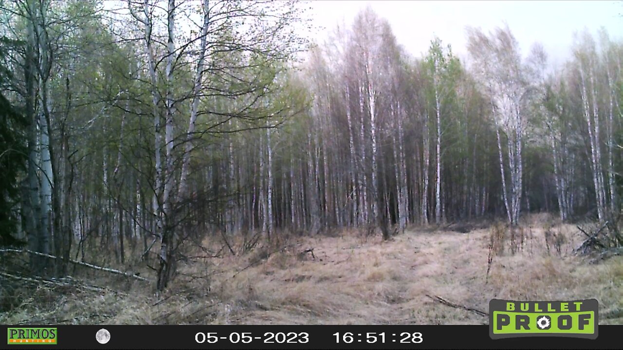AB wildfire caught on game cam