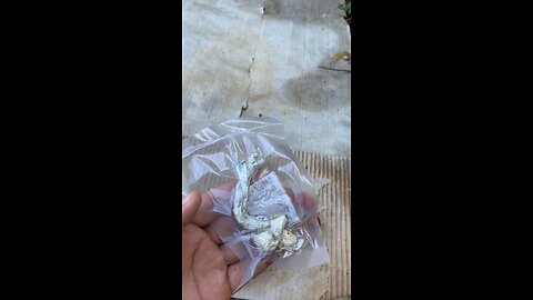 magic mushroom And some typical fruits from Brazil 🫶🏼