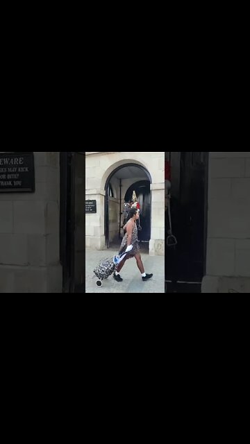 Girl does a dance Infront of the kings guard #horseguardsparade