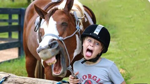 A Good Laugh Mean! 😂 Best Funniest Animal and Human Videos.mp4