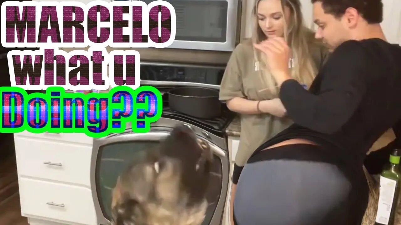 BEST TWITCH CLIPS #29 | #FanFan | #KatoKat | #SukasBlood