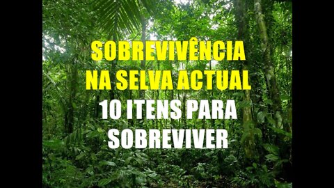 SOBREVIVÊNCIA NA SELVA ACTUAL - (10 ITENS PARA SOBREVIVER)