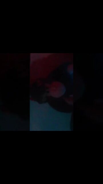 ☢️⚠️☠️🦇☠️⚠️☢️ #COVID19MuTatiON •[(☣️#VarienT☣️)]• HaZ-((MaT✓)🙉🙈🙊 #ReleaseTheKrackken🎵🎶🎵🎶🎶🎵🎶.