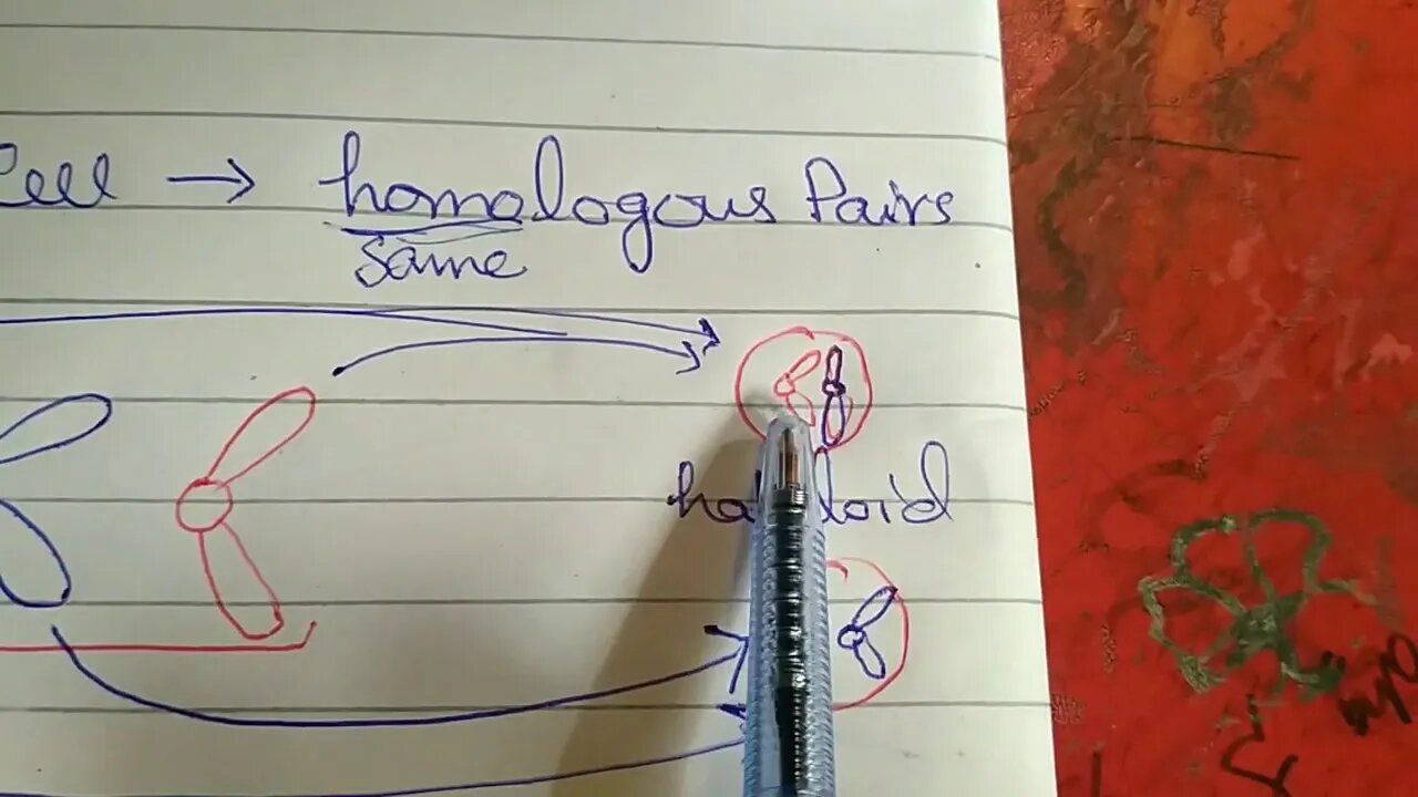 Biology 9th Lecture 9