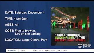 Plenty of Tampa Bay markets to find local items this holiday season