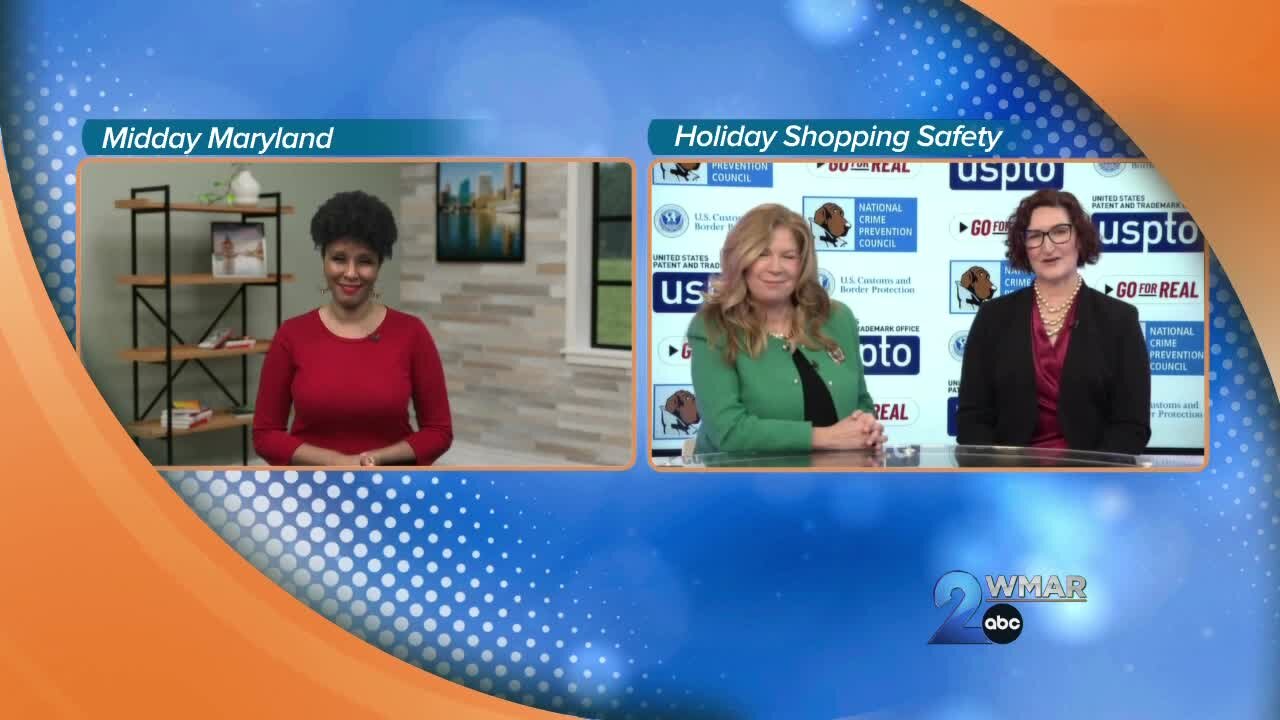 McGruff - Holiday Scams