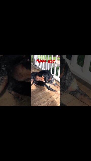 Friday Night Livestream! The best streaming show live! 9pm till… #shorts #TheExpert