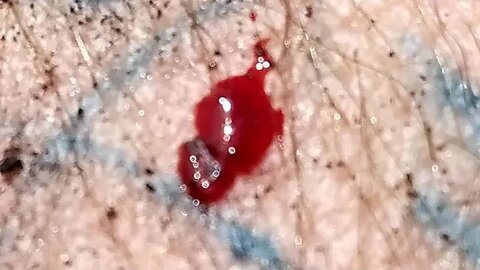 disia-mk sexy smooth jam#originalmusic #music #swg #disiam