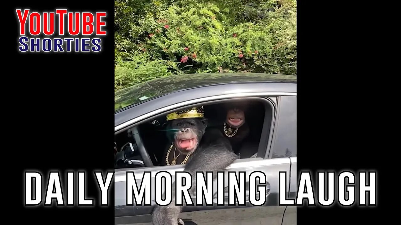 Funny Morning Laugh - 30 Seconds to Start Your Day Right #shorts