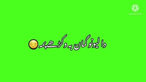 pashto green screen poetry jaweed shah Drman