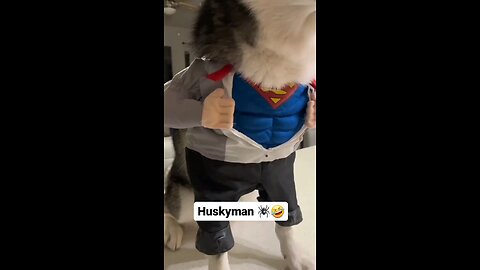dogman 😍😂