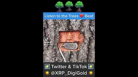 🌴 Trees Talk 🌴