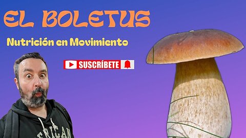 El boletus