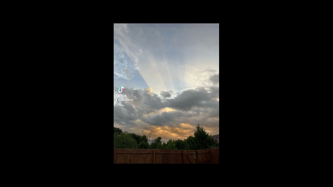 God’s creatures-creations