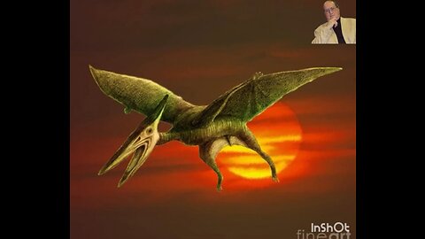 Encounter With A Pterodactyl-Jordan Maxwell Audio