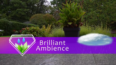 Relaxing Rain Sounds - Light Rain in Your Backyard - Sleep, Relax, Meditate - HQ Audio