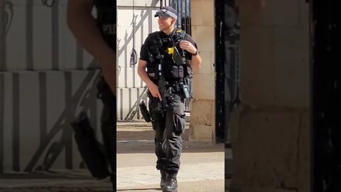 Armed police horse guards parade #armedpolice
