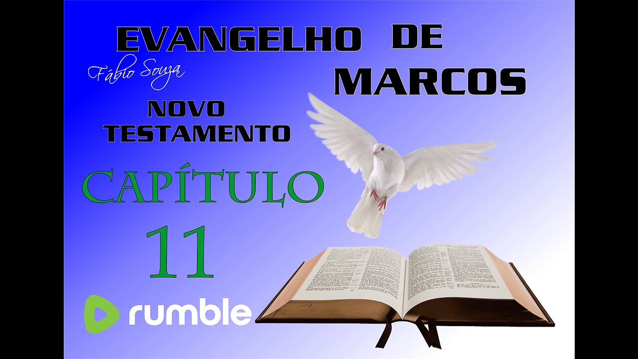 EVANGELHO DE MARCOS CAPÍTULO 11 NOVO TESTAMENTO