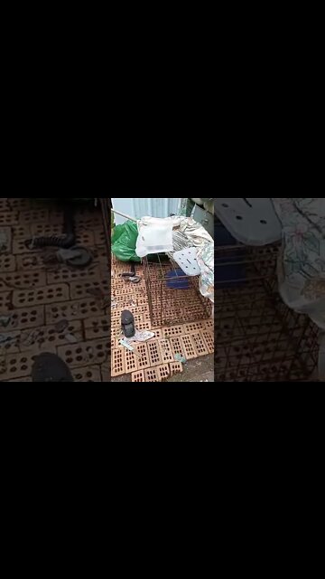 finished the back patio