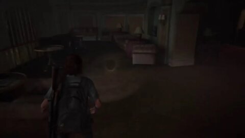 The Last of Us 2 misery part 2.5