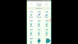 Live Pokémon GO - Dia Comunitário de Shinx